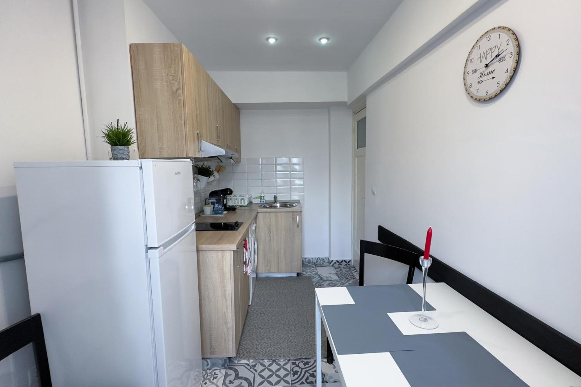 Apartamento Victoriei - The Historical Part