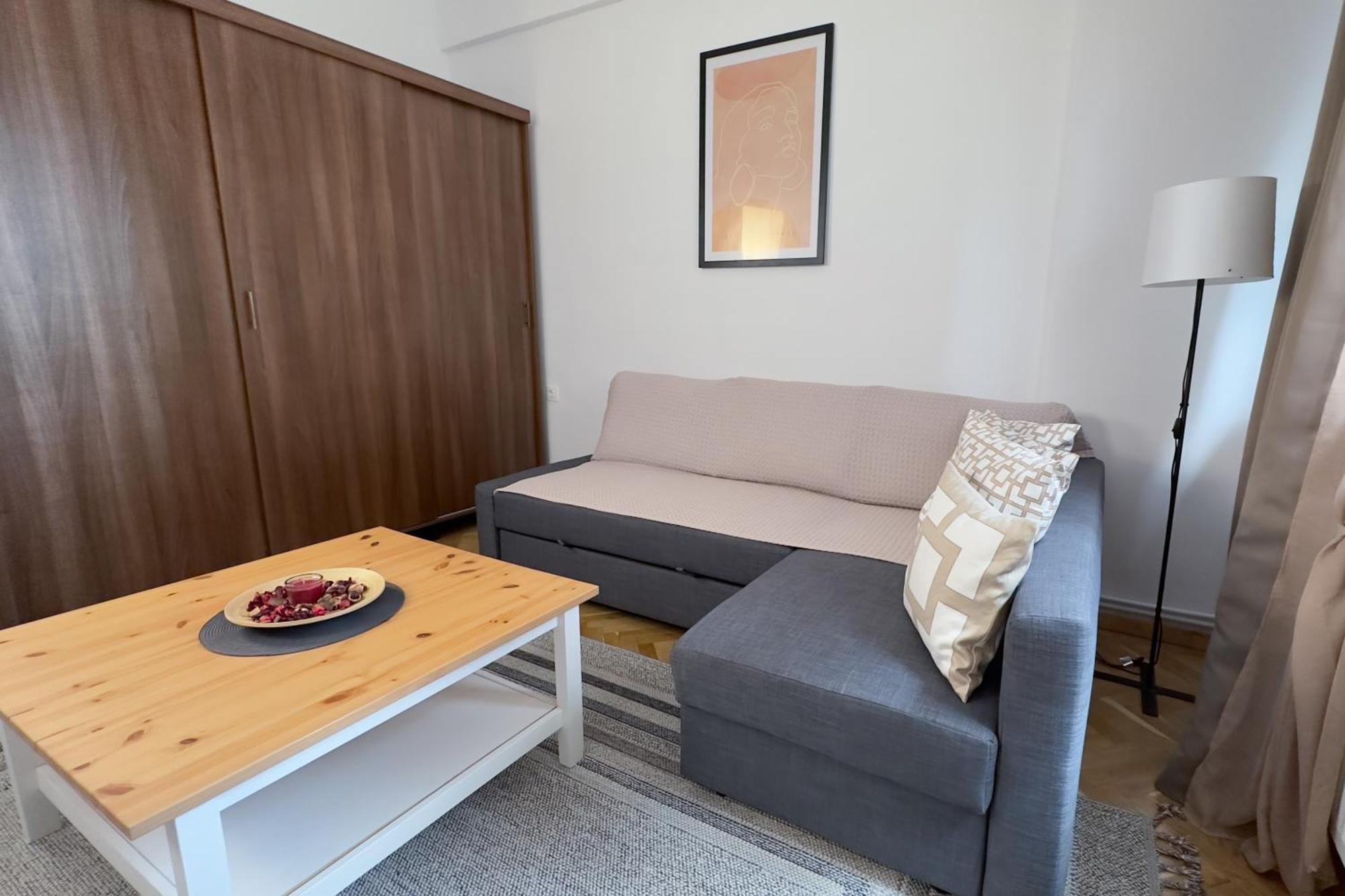 Apartamento Victoriei - The Historical Part