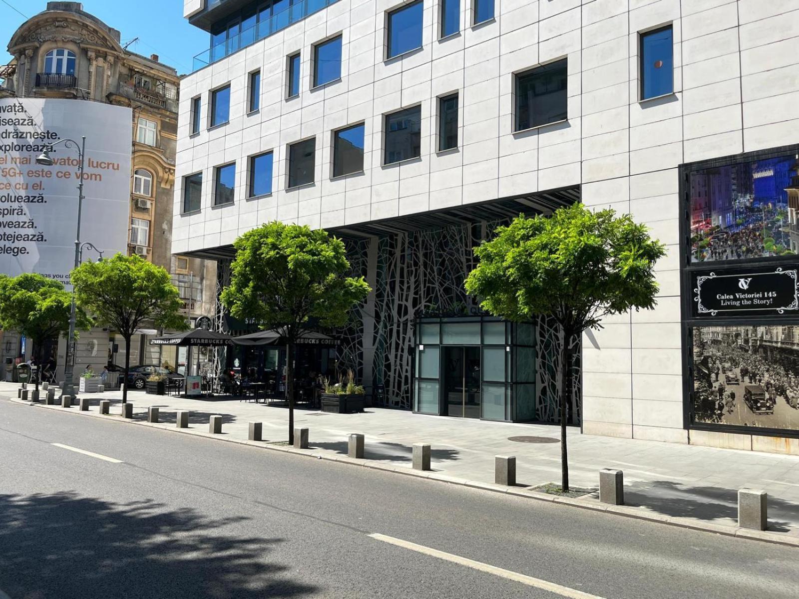 Apartamento Victoriei - The Historical Part *